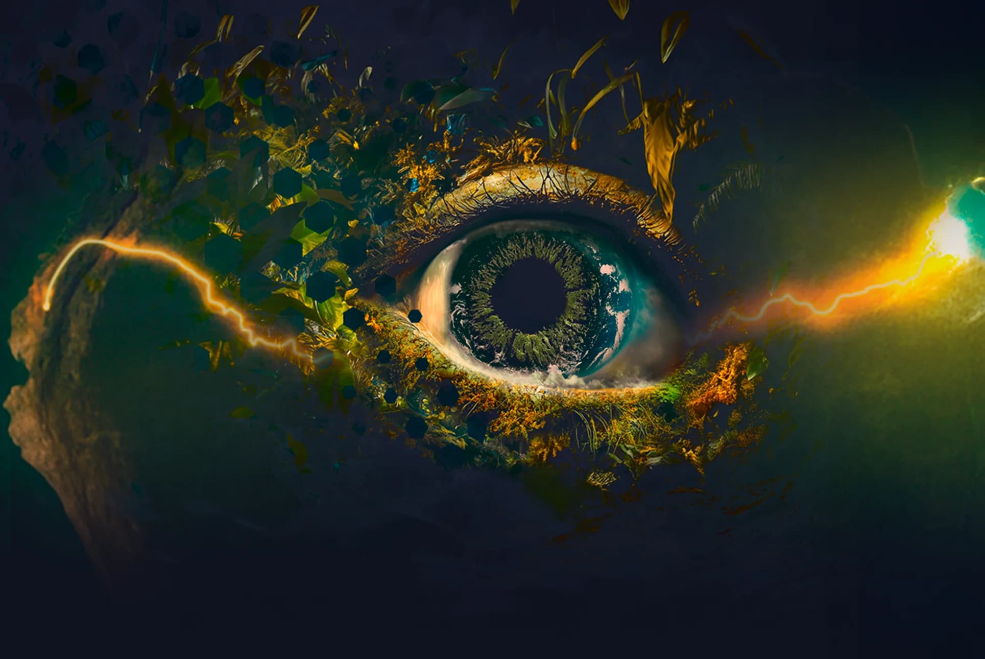 PREMIO SACHA — imagen del proyecto