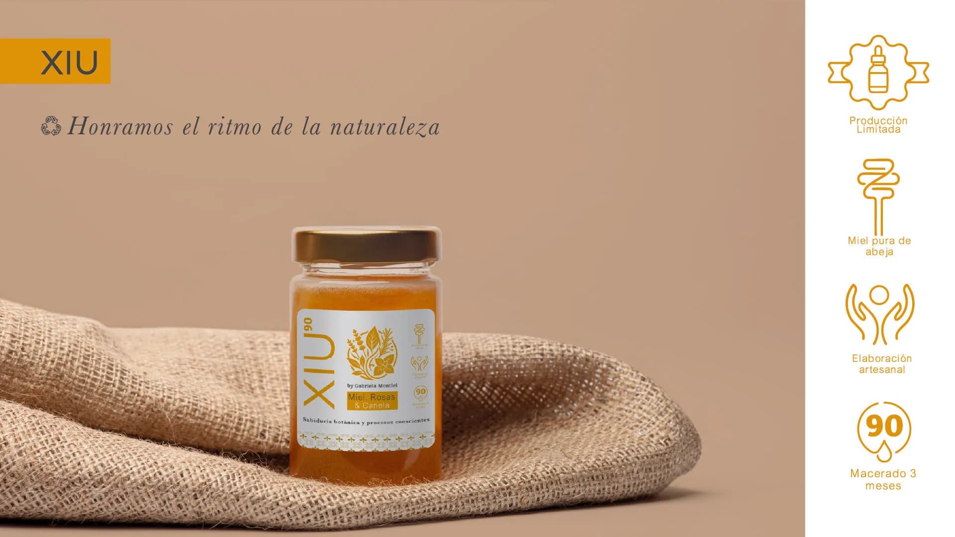 XIU — imagen del proyecto