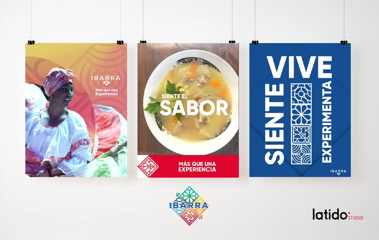 IBARRA — imagen del proyecto