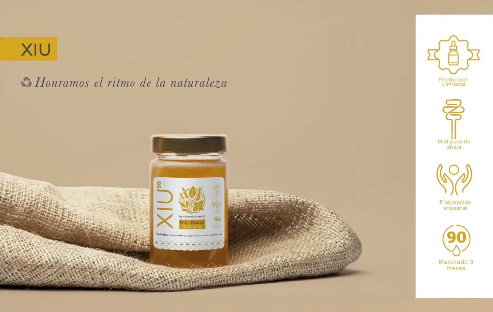 XIU — imagen del proyecto